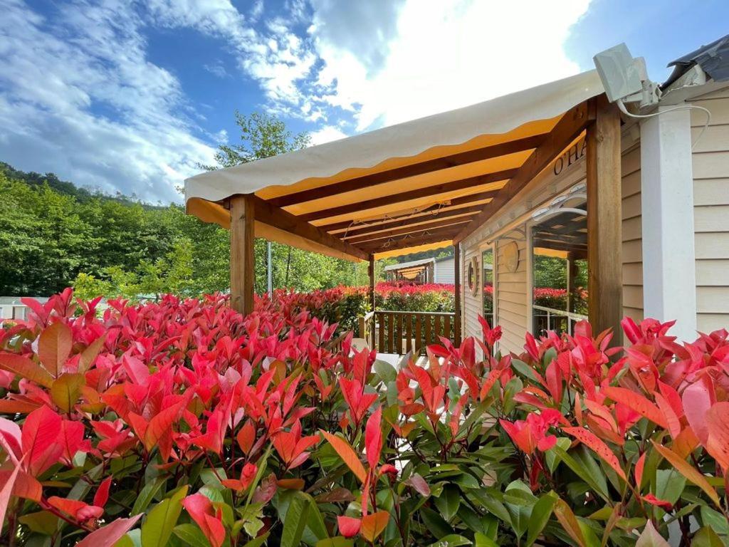 Camping Igara De San Sebastián Dış mekan fotoğraf